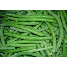 IQF Green Bean Ganze Auswahl Qualität